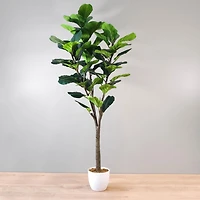 Fiddle Leaf Fig Tree, 62.9"H