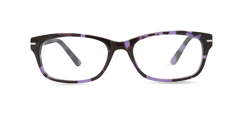 Baby Phat Lunettes De Vue Pour Femmes, Bv261, Violette Tortue, 50-16-135