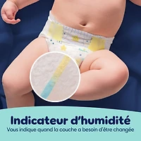 Couches Pampers Swaddlers Overnight, format Super S3 à S7 Tailles 3-7, 66-36 couches