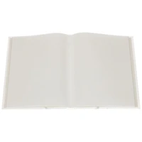 Pinnacle 1UP Album Brag Patte