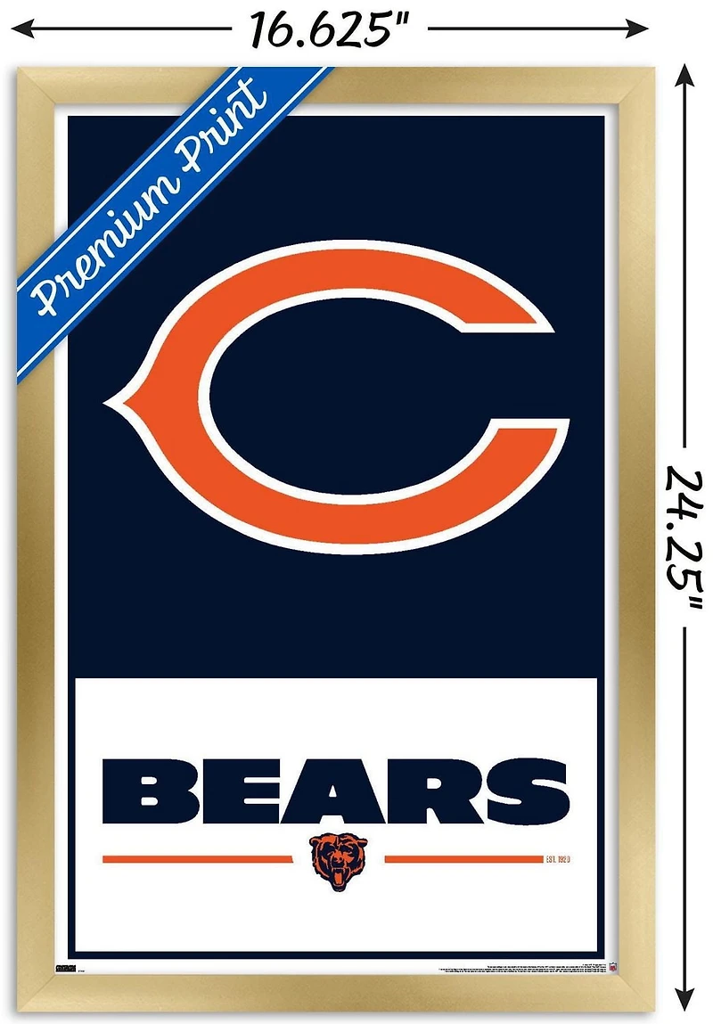 Chicago Bears de la NFL