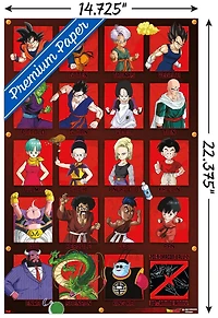 Dragon Ball Z - Anniversaire