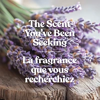 Bougie parfumée Yankee Candle Signature, bougie en pot format grand 2 mèches