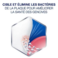 Dentifrice Sensodyne pour dents sensibles et saignement de gencives, dentifrice au fluorure, menthe, 75 mL Menthe, 75 mL