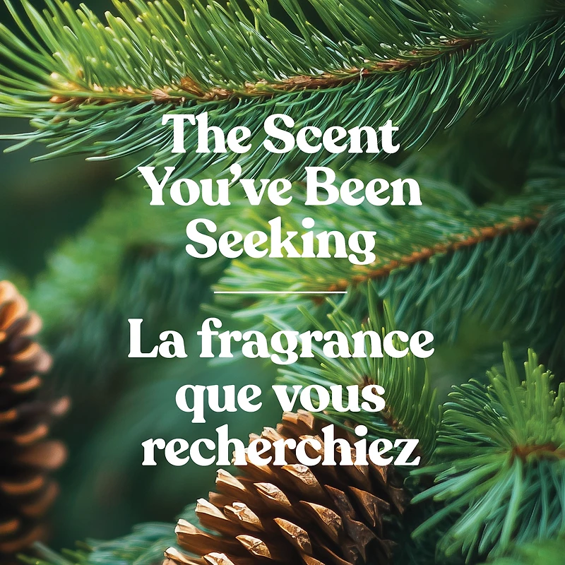 Bougie en grand pot Yankee Candle, parfumée avec jusqu’à 150 heures de temps de combustion, baume et cèdre