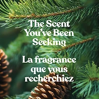 Bougie en grand pot Yankee Candle, parfumée avec jusqu’à 150 heures de temps de combustion, baume et cèdre