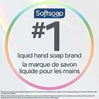 Softsoap Cool Rain Liquid Hand Soap 332ml, Softsoap Cool Rain 332ml