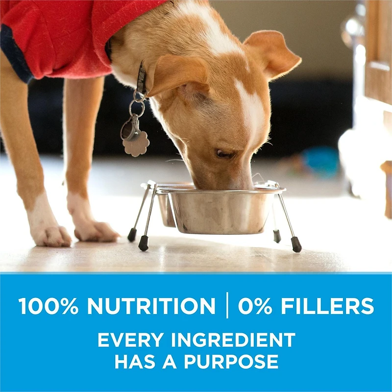 Purina ONE SmartBlend Small Breed Formula Beef, Dry Dog Food, 1.81-3.63 kg