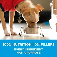 Purina ONE SmartBlend Small Breed Formula Beef, Dry Dog Food, 1.81-3.63 kg