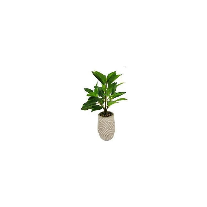 Lerman Decor's slim plant in zigzag pot