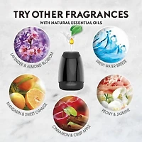 Air Wick Essential Mist Fragrance Oil Diffuser Kit, Lavender & Almond Blossom, 1 Diffuser + 1 Refill, Air Freshener