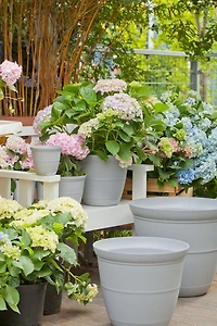 Hometrends Indoor Basic Bell Black, White and Grey Planter, Black Planter