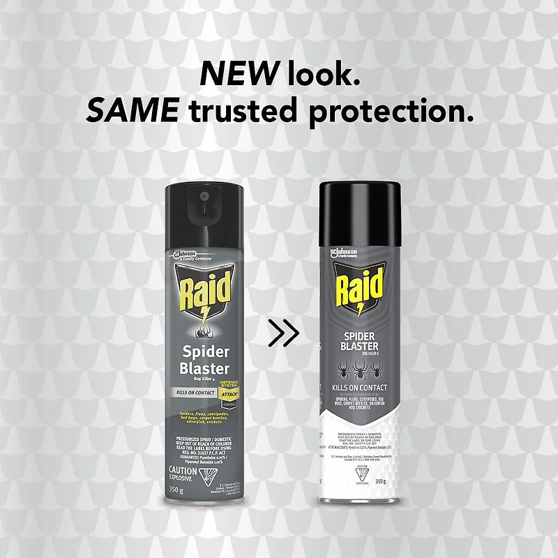 Raid Spider Blaster Insect Killer Spray, Kills Bugs on Contact, For Indoor and Outdoor Use, 350g