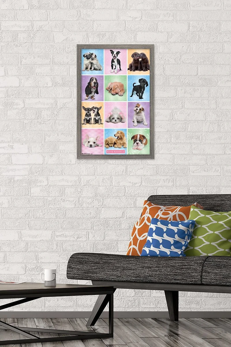 Keith Kimberlin - Puppies - Cuties Grid