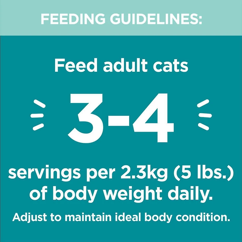 Iams Perfect Portions Grain Free Tuna Paté Healthy Adult Wet Cat Food, 75g