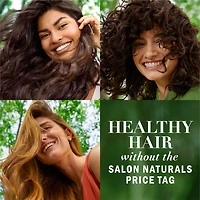 Herbal Essences Argan Oil Paraben Free Shampoo, Hair Repair, with Certified Camellia Oil and Aloe Vera, For All Hair Types, Especially Damaged Hair, 400ML