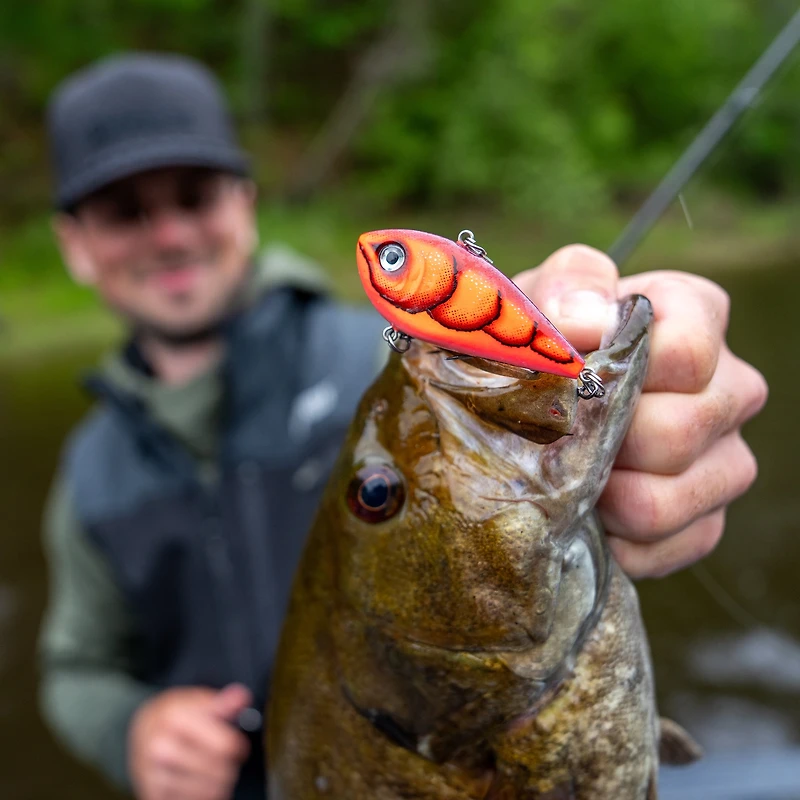 Rapala Snare 50 True Gill, crankbait sans bavette