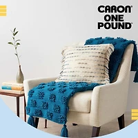 Caron® One Pound™ Yarn, Acrylic #4 Medium, 16oz/454g, 812 Yards