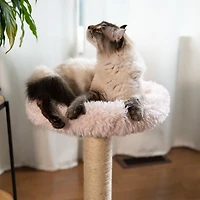 Le perchoir Blush – Arbre à chat à 1 niveau