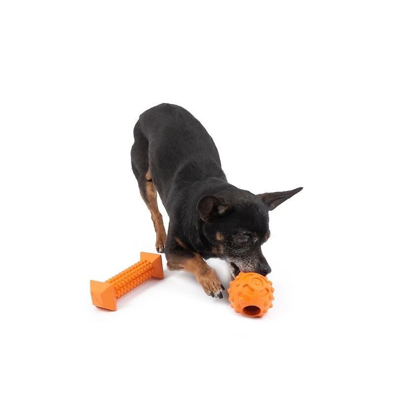 One Paw, 2 Pack Rubber Chew Dog Toy, Small, Treat Dispenser, Chew for Dog Toy