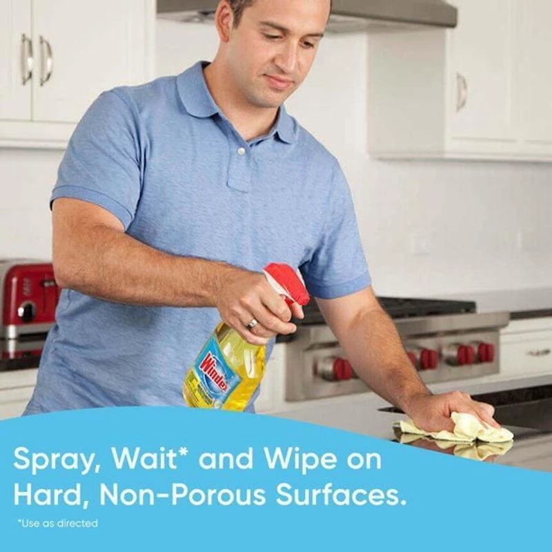 Windex Multi Surface Nettoyant Antibactérien Désinfectant 950 mL