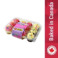 Mini petits gâteaux two-bite® assortis glacés au chocolat et à la vanille du printemps