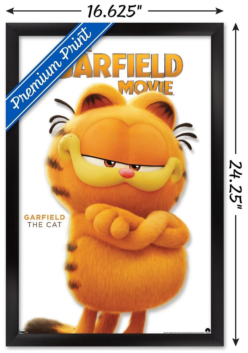 Le film Garfield