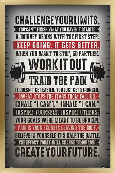 Challenge Your Limits Wall Poster, 14.725" x 22.375"