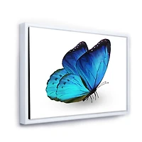 Designart Vibrant Blue Butterfly FLOAT FRAME WALL ART