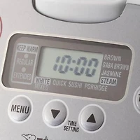 Zojirushi 5,5 tasses Micom Computer Cuiseur à riz multifonction et réchauffeur NS-WTC10