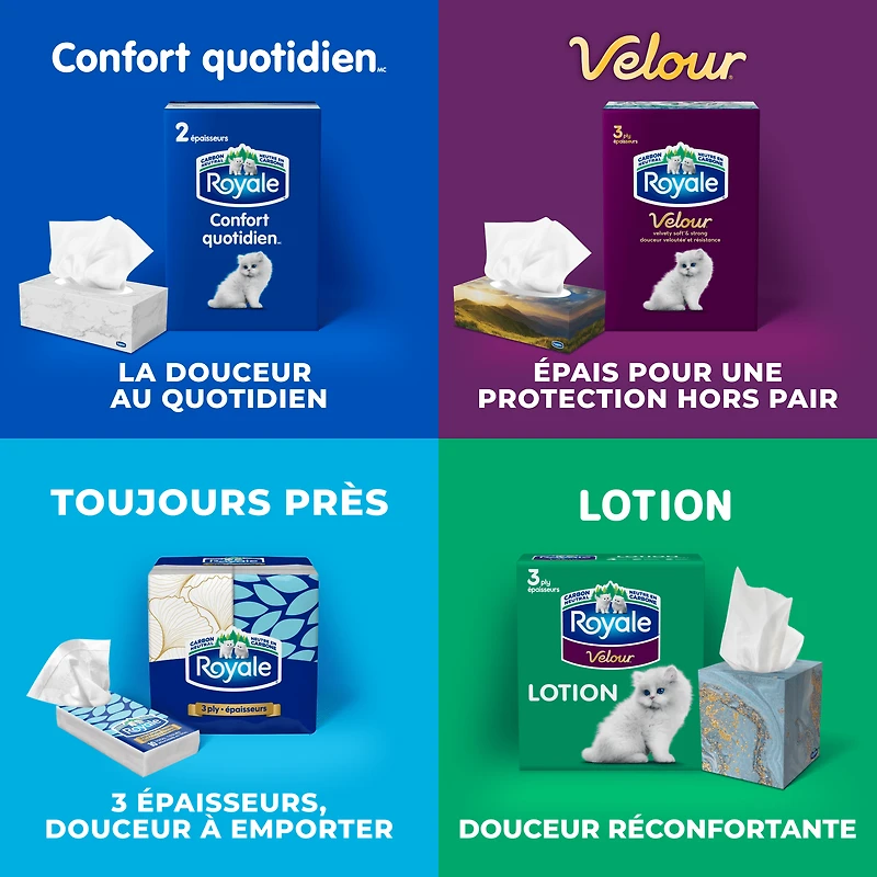 Mouchoirs Royale Velour, 12 boîtes, 82 mouchoirs par boîte