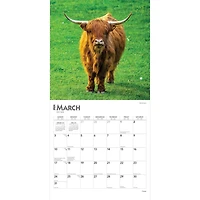 BrownTrout Cows 2024 12x24 Inch Square Wall Calendar, 9781975462499