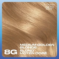 Clairol Nice'n Easy Permanent Hair Dye, 100% Gray Coverage