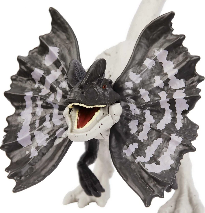 Jurassic World Figurine de Dinosaure Dilophosaure de Nouvelle Attaque