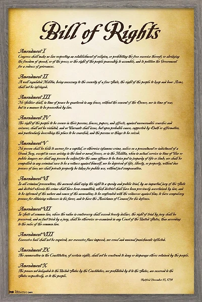 The United States of America - Bill of Rights Wall Poster