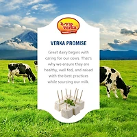 Frais Paneer Verka, 300g