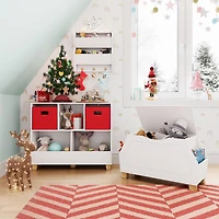 Kids Catch-All Wall Shelf with Hooks