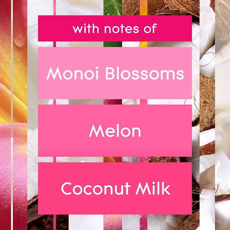 Glade Branchées® Huile parfumée Recharge, Fleurs tropicales exotiques deux recharges