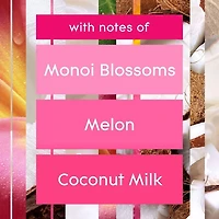 Glade Branchées® Huile parfumée Recharge, Fleurs tropicales exotiques deux recharges