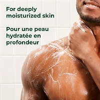 Irish Spring Aloe Mist Savon Déodorant pour Hommes, Sensation de Fraîcheur toute la Journée, 3,7 oz, Paquet de 12 3,7 oz, Paquet de 12