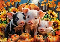 Puzzle en 500 pièces Ceaco Pumpkin Piglets pour adultes, à partir de 14 ans