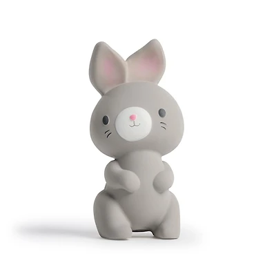 Ingenuity Sylvi™ NATURAL RUBBER Teether, 0 - 36 months