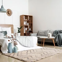 ECARPET Tapis Frise Rayé Ondulé, Collection Suzana Super Douce et Pelucheuse