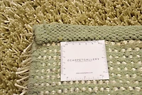 ECARPETGALLERY Metro Plush Light Green Shag 5'0" x 8'0"