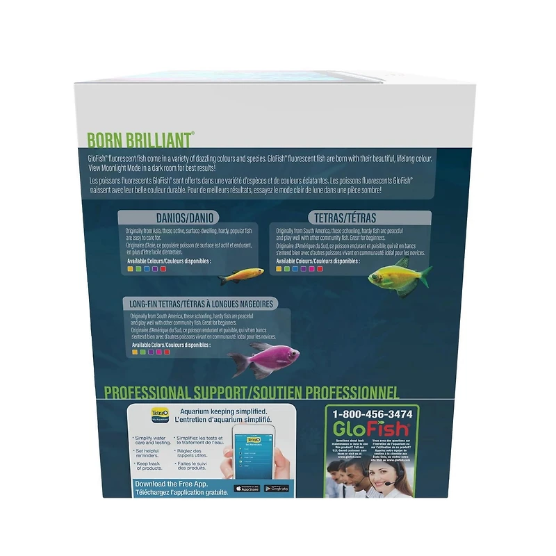 GloFish Aquarium Kit Perfect Starter Tank