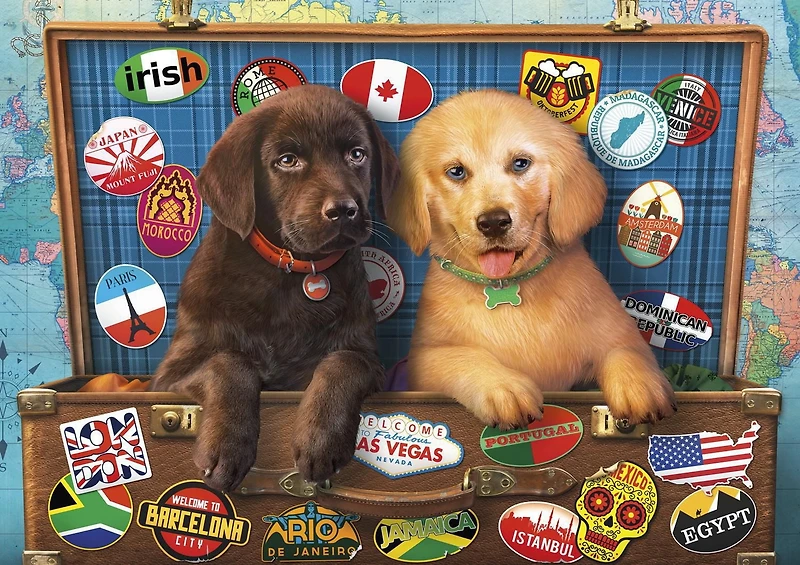 Buffalo Games Adorable Animals: Stowaways 300 Large Piece Jigsaw Puzzle