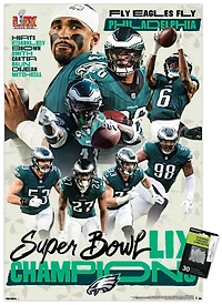 NFL Philadelphia Eagles - Super Bowl LIX Champions Wall Poster, 22.375" x 34" Framed