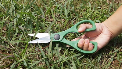 CISEAUX À HERBE À HERBE