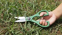 GRASS SCISSORS, SCISSORS