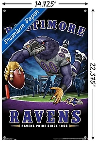 NFL Baltimore Ravens - End Zone 17 Wall Poster, 14.725" x 22.375"